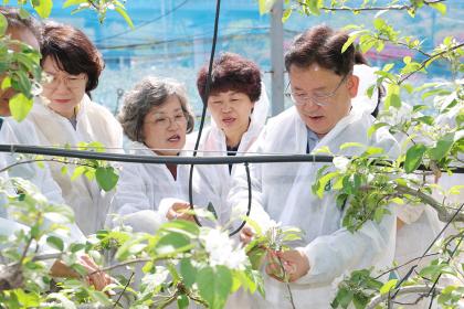 과수화상병 개화기 약제방제 현장 점검