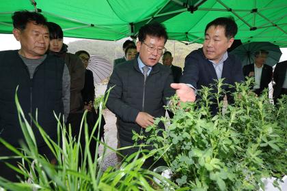 풀사료 재배 실증 농가 현장 방문