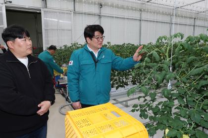 과수화상병, 토마토뿔나방 방제 현장 점검