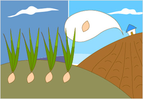 새 씨앗은 재넘어서 바꾸어 둔다 이미지