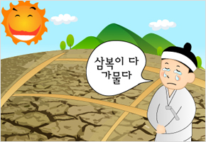 삼복(초. 중. 말복) 모두 가물면 왕가뭄 이미지