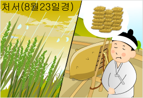 처서에 비 오면 사방 십 리 천석을 감한다 이미지