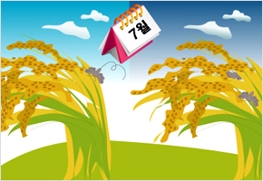 오전에 벼 잎에 앉은 하루살이 오후에는 벼 잎속에 보인다 이미지