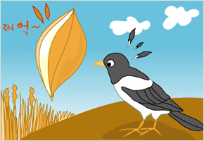 새 머리털 빠지면 벼알은 등 터진다 이미지