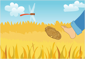 논에 짚신을 던져 떨어지지 않으면 수량이 많다 이미지