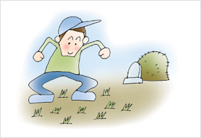 보리밭과 부모묘는 열심히 밟아야 한다 이미지