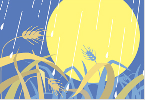 정월 대보름에 비가 오면 보리 흉년 든다 이미지