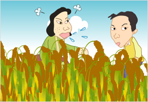 조밭을 맬때는 부부간에 싸워야 날 수가 난다. 이미지