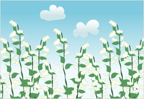 늦자식 농사가 메밀 농사다. 이미지