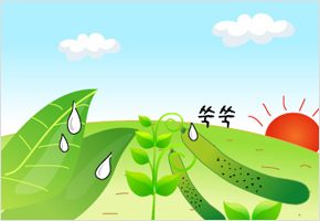 아침 이슬에 오이 불듯(크듯) 한다. 이미지