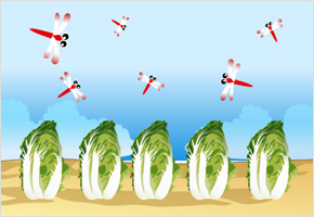 고추잠자리 날면 채소밭 일군다. 이미지