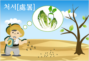 처서에 가을 채소 파종한다. 이미지