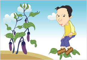 가지잎은 길에 버려 많은 사람이 밟아야 좋다. 이미지