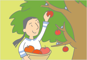 과실나무도 장가 보낸다. 이미지