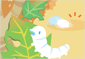 뽕 천근 고치 한 근 이미지