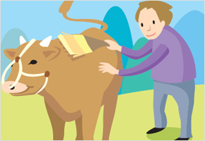 콩 한주먹 주는 것보다 빗질 한번 해주는 것이 좋다. 이미지