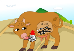 손톱 밑에 가시든 것은 알아도 염통 밑에 쉬실은 것은 모른다. 이미지