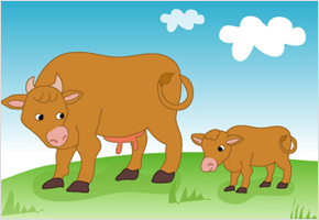 소 젖이 붉으면 새끼 잘 낳는다. 이미지