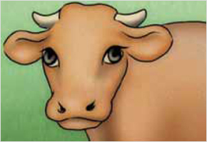 입이 큰 소라야 살이 찐다. 이미지