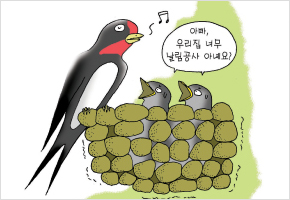 제비집이 허술하면 큰바람 없다 이미지