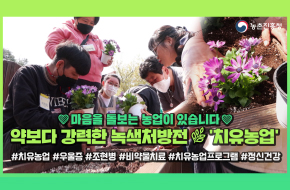 녹색처방전 받고 우울·조현병 줄었다!🌿(ft.치유농업)