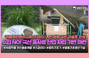 처음부터 끝까지 국산🇰🇷이게 바로 풀사료 자립🌾(ft. IRG)