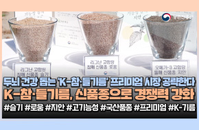 K-참·들기름 급이 달라졌다✨K-기름시대