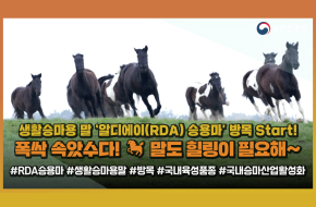 폭싹 속았수다! 이게 바로 제주 라이프?!🌿