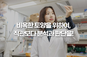 비옥한 토양을 위하여, 직관보다 분석과 판단을!