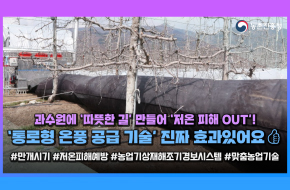 저온 피해 30% 감소!📉과수원 필수 생존템은 ‘이것’