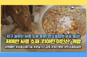 지구 살리는 사료 등장💥탄소중립 성공키🔑