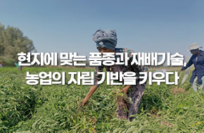 에티오피아 고원에 심은 K-농업의 씨앗