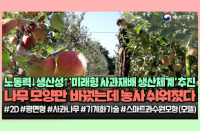 사과나무는 단순하게🍎사과농사는 쉽게