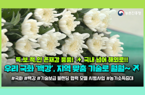 K-국화 ‘백강’, 맞춤기술 버프로 글로벌 1티어 예약
