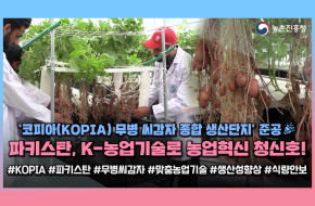 파키스탄 총리도 감탄한 K-농업!🥔감자에서 시작된 우정