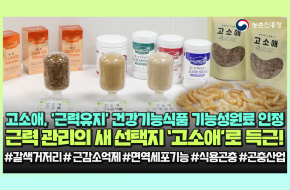 득근 비결💪🏻이제 곤충으로 근력 챙겨요 