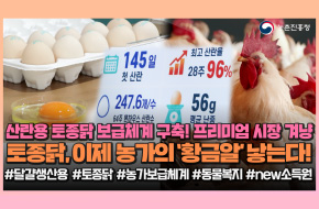 토종닭🥚농가의 새로운 황금알로 변신