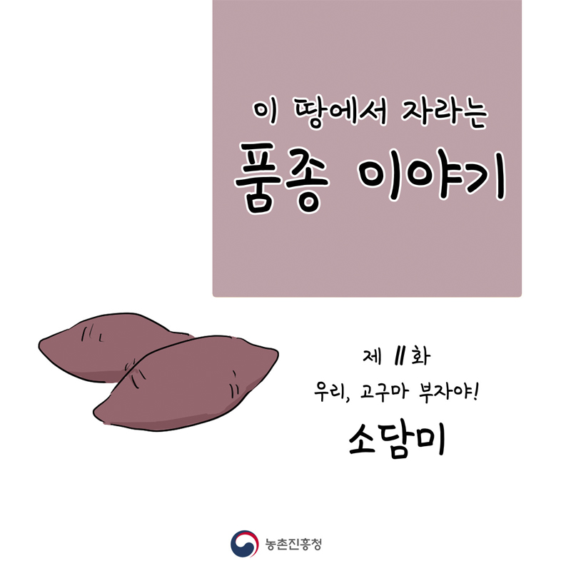 [웹툰] 이 땅에서 자라는 품종 이야기 - 제11화 우리, 고구마 부자야! 소담미