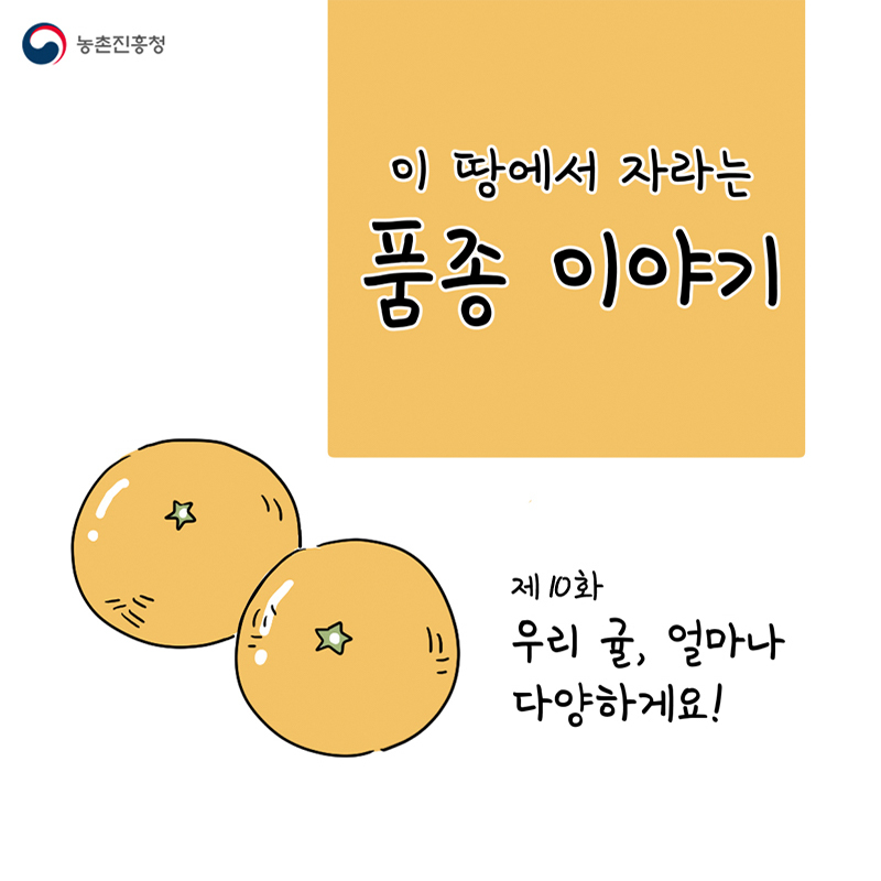 [웹툰] 이 땅에서 자라는 품종 이야기 - 제10화 우리 귤, 얼마나 다양하게요!