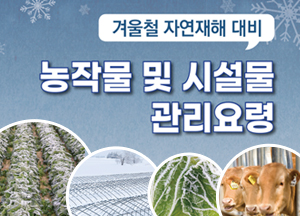 겨울철 자연재해 대비 농작물 및 시설물 관리요령