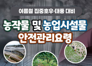 여름철 집중호우 태풍 대비 농작물 및 농업시설물 안전관리요령