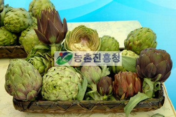 아티초크
