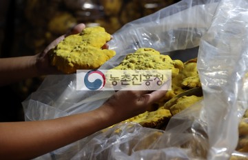 상황버섯