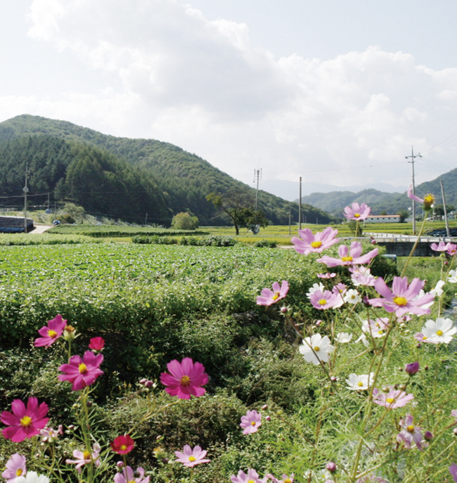 춘천 솔바우마을