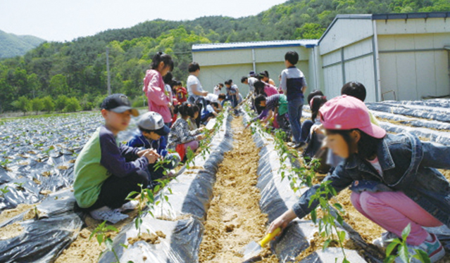 춘천 솔바우마을