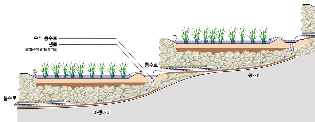 구들장논 단면