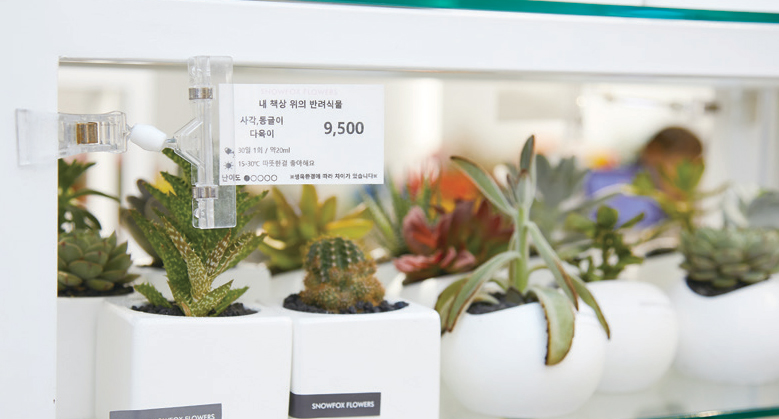 스노우폭스플라워 김아영 대표