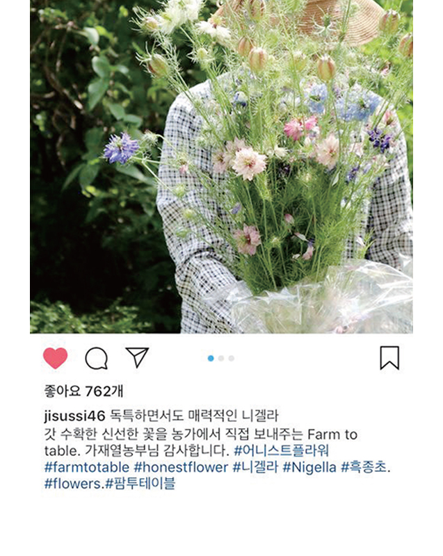 어니스트플라워 인스타그램