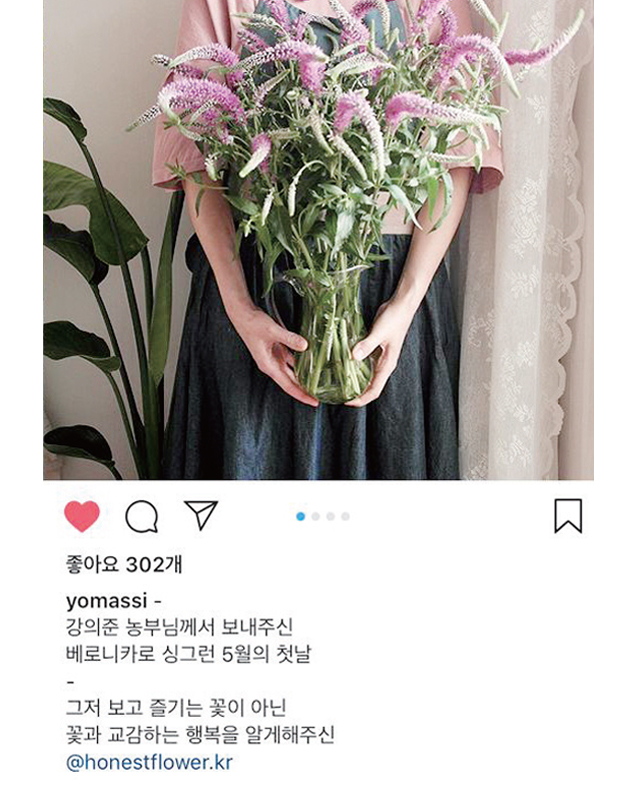 어니스트플라워 인스타그램