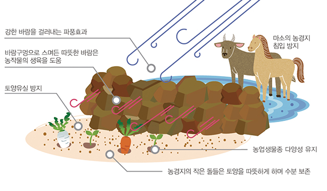 제주밭담의 기능